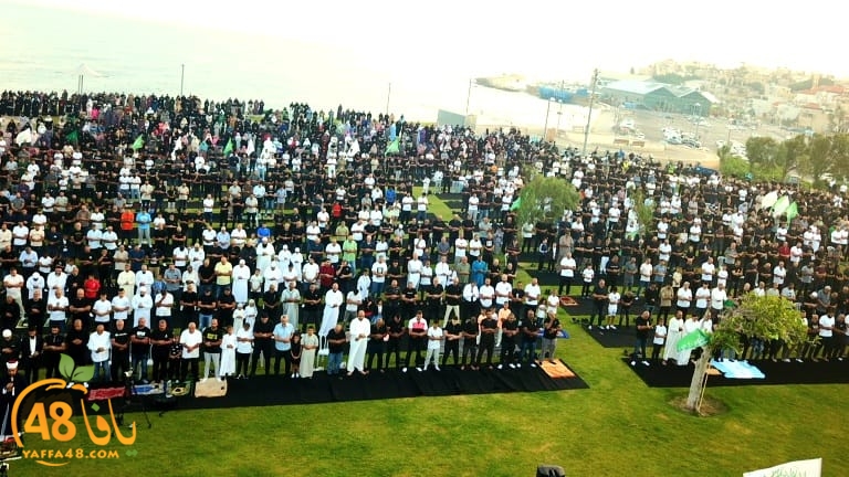 WhatsApp Image 2023-06-28 at 11.33.49 AM.jpeg